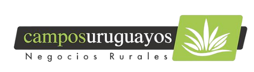 Campos Uruguayos