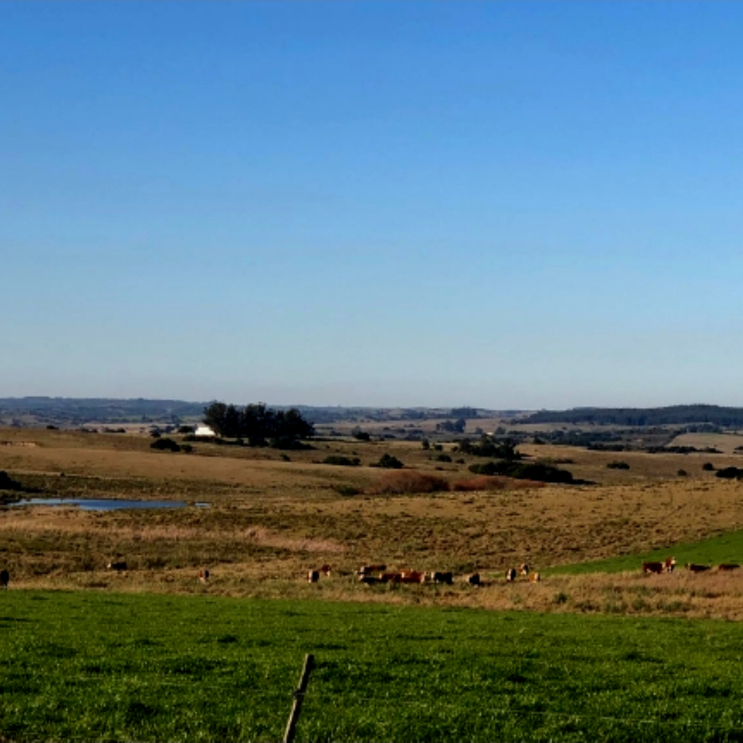 Campo en Corte la Leña