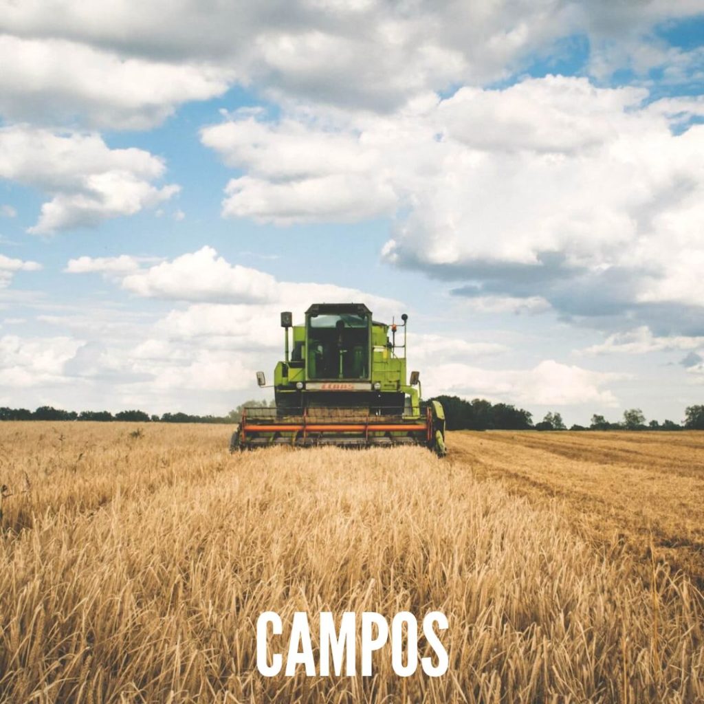 Campos en venta en Uruguay