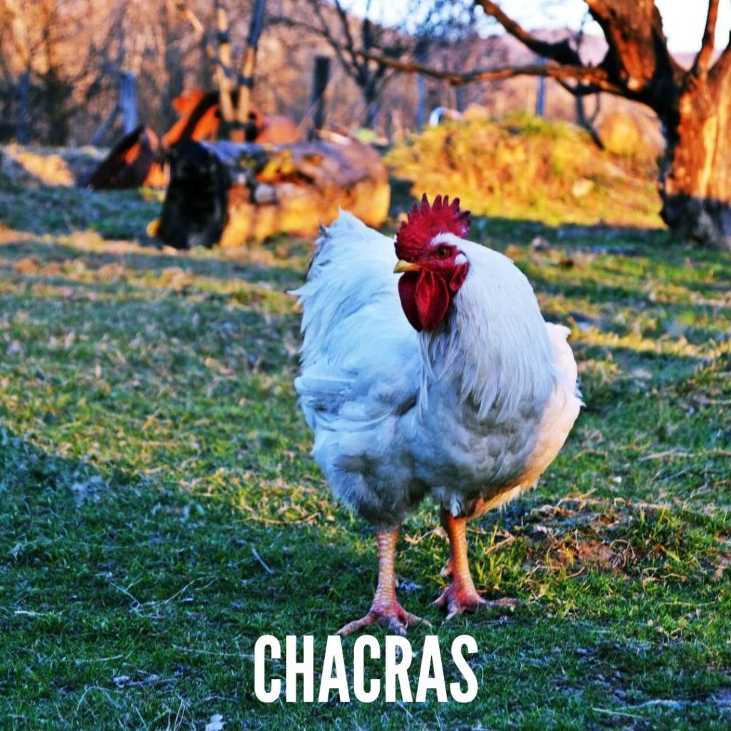 Chacras en venta en Uruguay