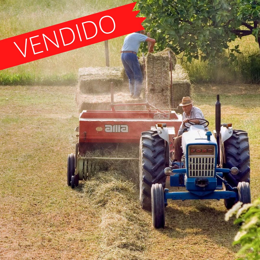 Campo vendido