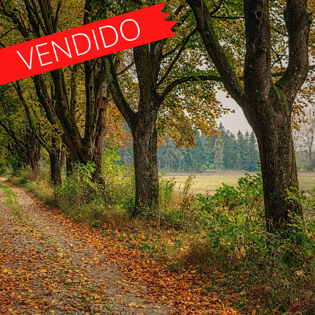 Campos Uruguayos Vendidos