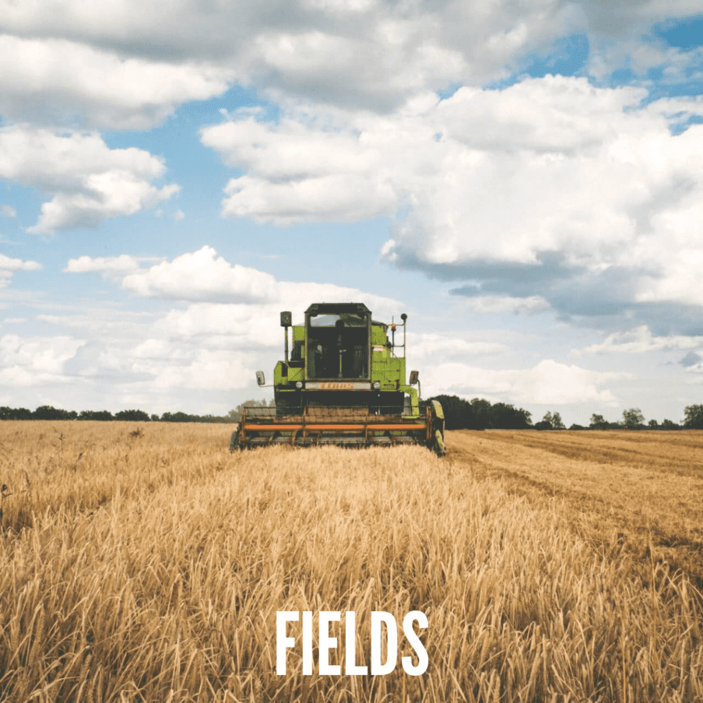 Fields for sale
