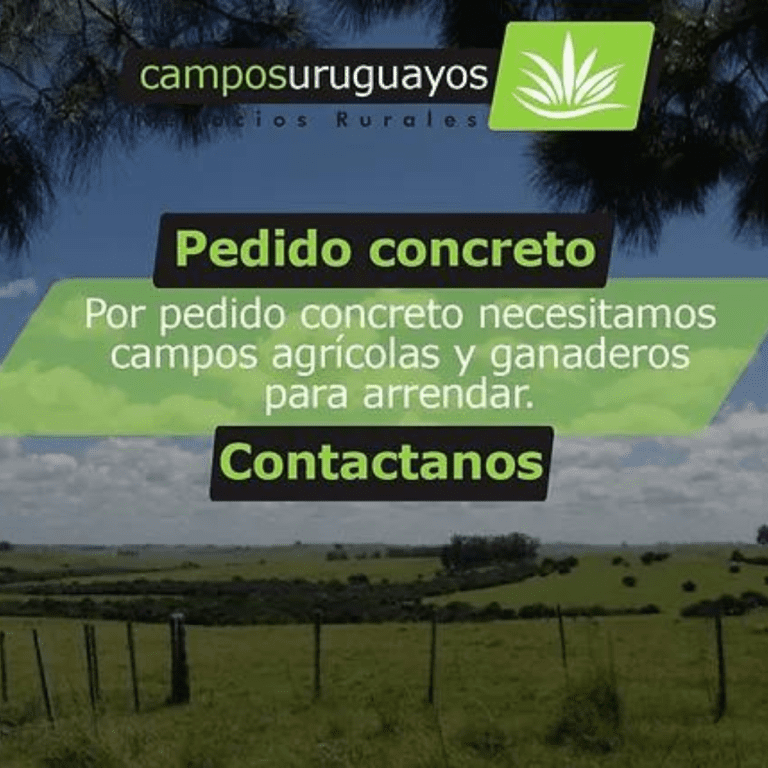 Campos Uruguayos Pedidos